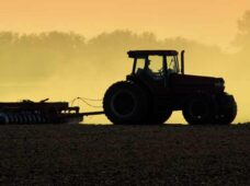 O controle sobre combustíveis é o fertilizante do lucro da safra