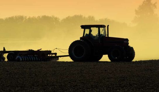 O controle sobre combustíveis é o fertilizante do lucro da safra