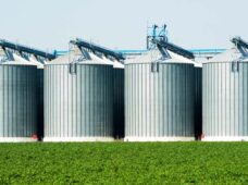 Armazenagem: ferramenta de geração de riqueza e de divisas