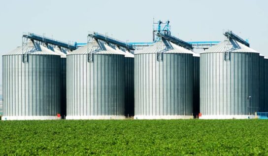 Armazenagem: ferramenta de geração de riqueza e de divisas