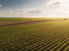 Entrevista: representantes do MAPA falam sobre setor de máquinas