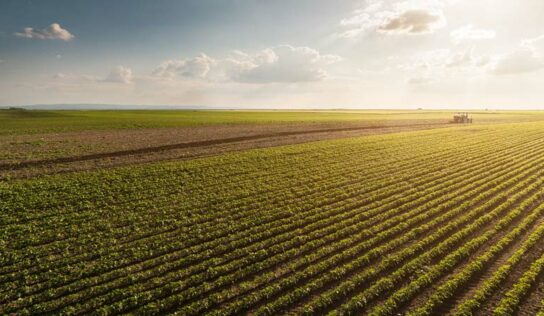Entrevista: representantes do MAPA falam sobre setor de máquinas