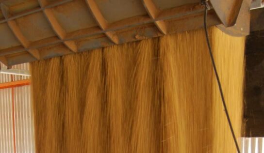 Pesagem: valor das commodities e volume da produção garantem retorno rápido