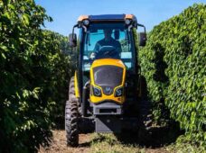 Valtra completa 70 anos de presença na agricultura