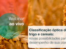Webinar: possibilidades para melhor desempenho de trigo e cereais