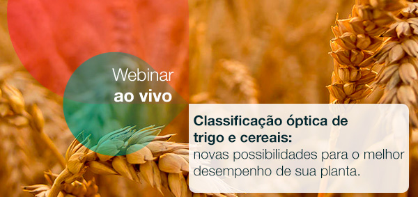 Webinar: possibilidades para melhor desempenho de trigo e cereais