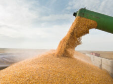 Trituradores com motores elétricos beneficiam agronegócio durante o tempo seco