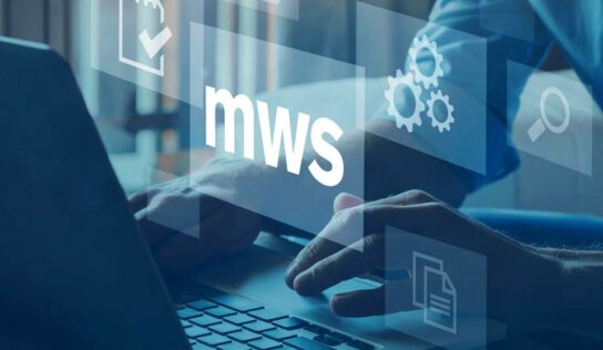 Software para gerenciamento de pesagem pode ser operado no próprio terminal