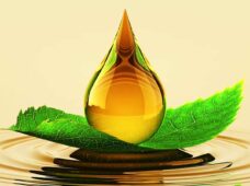 Lubrificação industrial com biodegradáveis impacta diretamente no meio ambiente