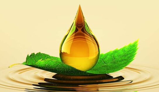 Lubrificação industrial com biodegradáveis impacta diretamente no meio ambiente