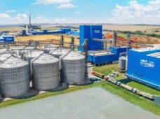 Cooperativas agrícolas do Paraná ampliarão capacidade produtiva com apoio do BNDES