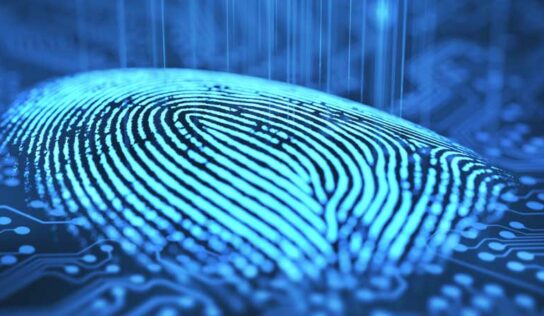 Artigo: Open banking, 2ª fase com LGPD totalmente vigente