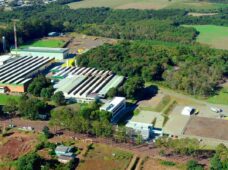 SAUR: 95 anos de história