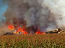 Live gratuita sobre prevenção de explosões em áreas classificadas