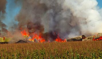 Live gratuita sobre prevenção de explosões em áreas classificadas