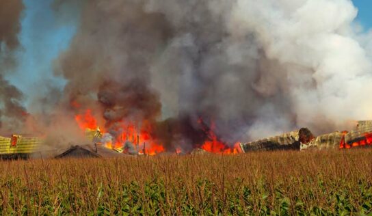 Live gratuita sobre prevenção de explosões em áreas classificadas