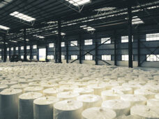 Testes hidrostáticos em tubulações de planta de celulose utilizam equipamentos locados