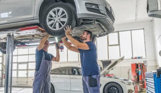 Reposição automotiva: catálogo eletrônico tem busca ágil em dois idiomas