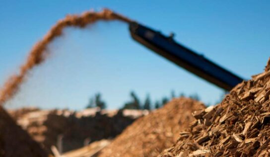 Utilização de rejeitos sólidos e de subprodutos do agro proporciona energia de qualidade