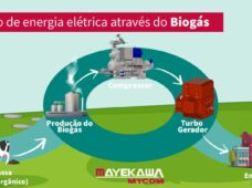 Cogeração via Biogás é alternativa sustentável para geração de energia