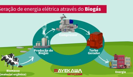 Cogeração via Biogás é alternativa sustentável para geração de energia