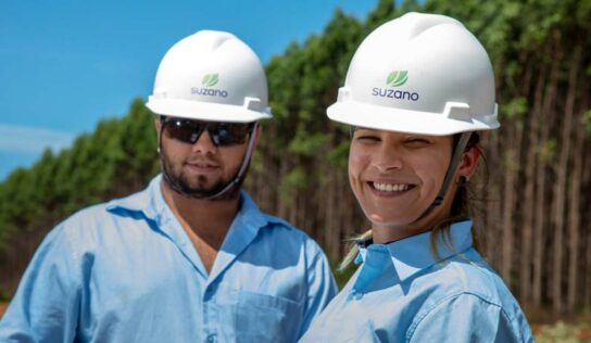 Cálculo de emissões ajuda a monitorar indicadores de sustentabilidade