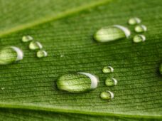 Artigo: ESG, letras que precisam caminhar juntas