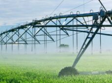 Evento em Brasília marca lançamento da Rede Nacional de Irrigantes