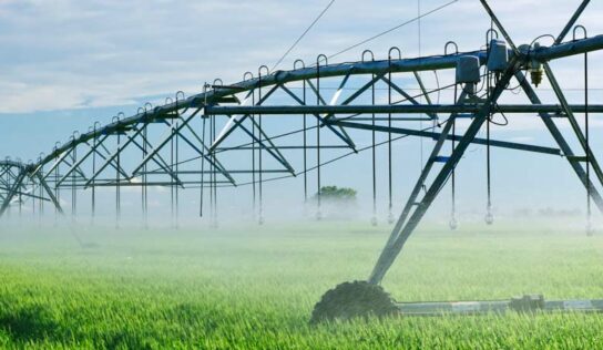 Evento em Brasília marca lançamento da Rede Nacional de Irrigantes