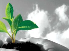 Descarbonização acelera caminho à economia sustentável