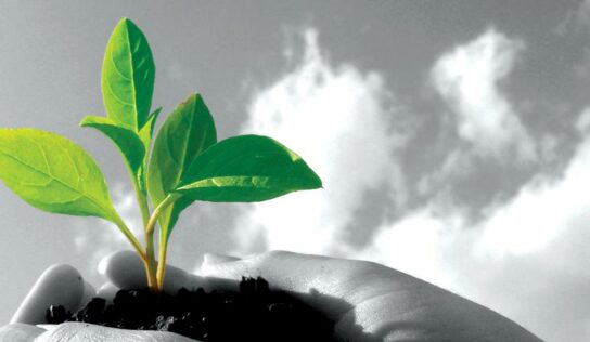 Descarbonização acelera caminho à economia sustentável