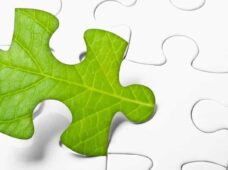 Artigo: ESG de dentro para fora