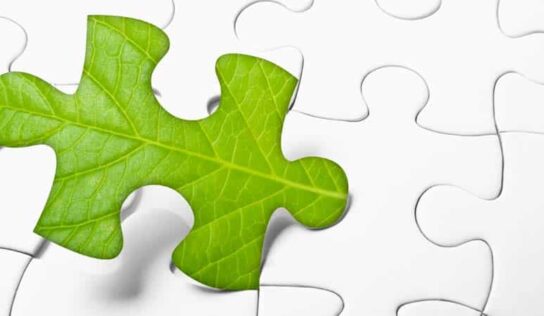 Artigo: ESG de dentro para fora