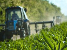 Artigo: como utilizar equipamentos convencionais para cultivo sustentável