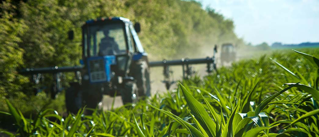 Artigo: como utilizar equipamentos convencionais para cultivo sustentável