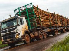 Hexatrens contribuem para transporte de madeira reflorestada