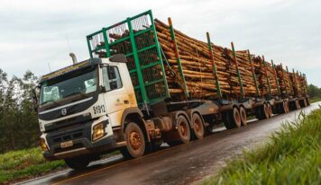 Hexatrens contribuem para transporte de madeira reflorestada
