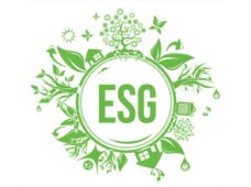 Artigo: Entenda o que é ESG e por que tem se falado tanto sobre isso  