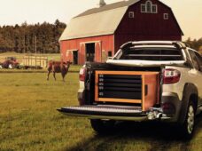 Soluções para o agronegócio facilitam a logística