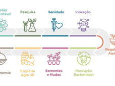 AGRISHOW: Secretaria de SP terá complexo de inovação e sustentabilidade