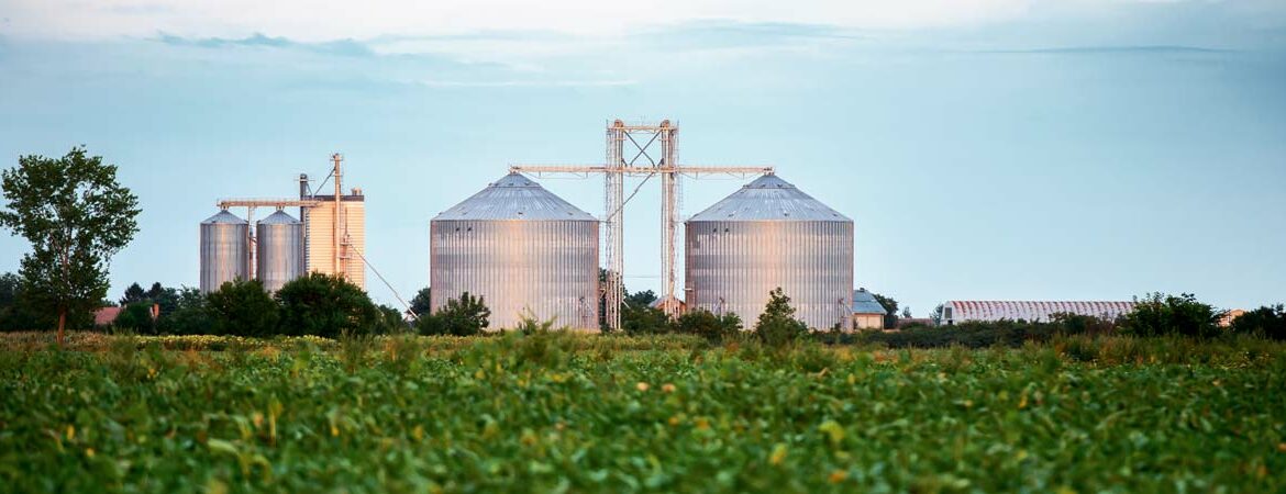 Tecnologia de ponta está disponível, mas faltam linhas de crédito que viabilizem investimento