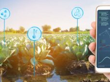 A quarta revolução tecnológica para a agricultura brasileira