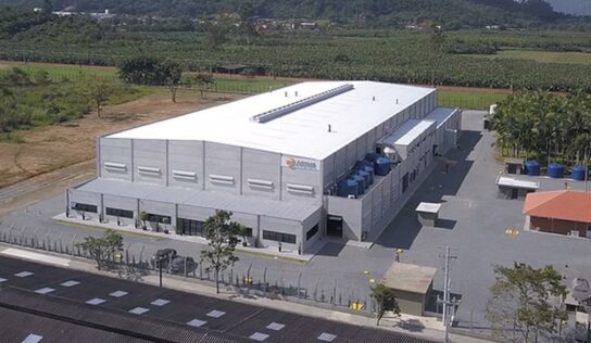 Motores e alternadores elétricos com três anos de garantia