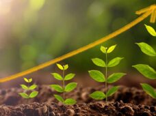 BNDES lança solução inovadora para incentivar projetos socioambientais