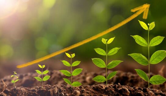 BNDES lança solução inovadora para incentivar projetos socioambientais