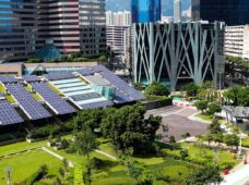 Lubrificantes biodegradáveis são solução para diminuir impacto ao ambiente