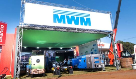 Descarbonização e aumento de produtividade, através de usinas de bioeletricidade a biogás  