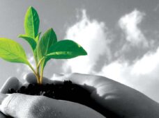 Parceria visa desenvolver ação de sustentabilidade em comunidade local