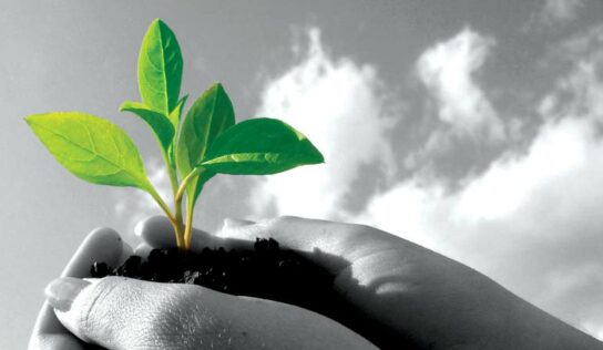 Parceria visa desenvolver ação de sustentabilidade em comunidade local