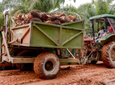 Parceria viabiliza projeto brasileiro para combustível sustentável de aviação